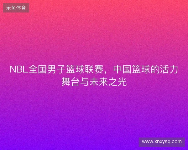 NBL全国男子篮球联赛，中国篮球的活力舞台与未来之光