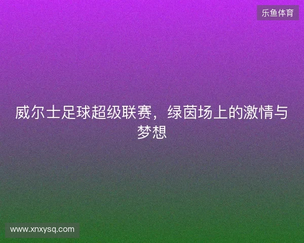 威尔士足球超级联赛，绿茵场上的激情与梦想