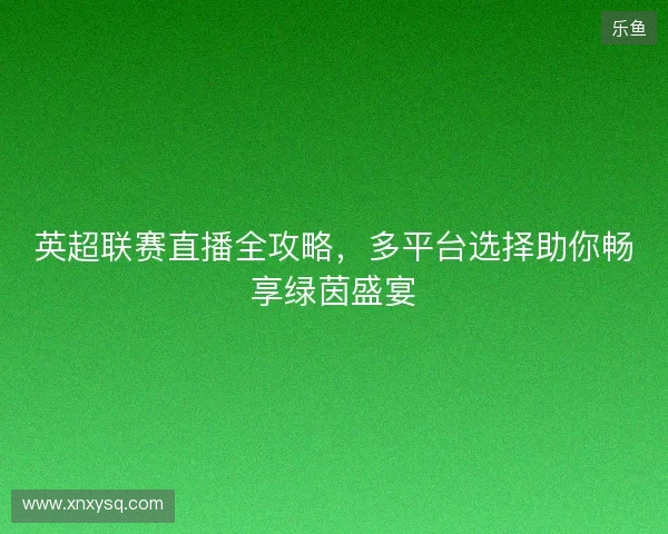 英超联赛直播全攻略，多平台选择助你畅享绿茵盛宴